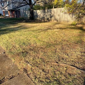 Leaf Removal by K’S Up landscaping reviewed on June 12, 2022
