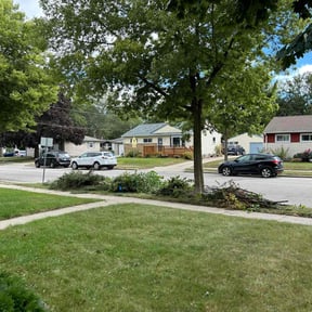 Bush Trimming by Sons Superior LLC reviewed on June 29, 2022