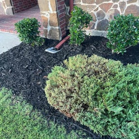 Mulching by All In One Lawn Care reviewed on April 7, 2025