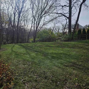Leaf Removal by Abundant Harvest Lawn Care LLC reviewed on July 9, 2022