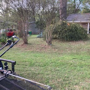 Leaf Removal by Reisinger Ventures LLC reviewed on July 21, 2022