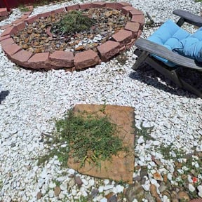 Flower Bed Weeding by Qashou Construction LLC reviewed on October 14, 2024