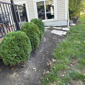 Flower Bed Weeding by Da Munchez/ High 5 landscaping reviewed on June 29, 2022