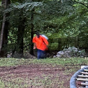 Weeding by The Greener Side Landscape Maintenance And Design LLC reviewed on September 3, 2020