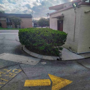 Bush Trimming by Carlos Tapia reviewed on August 12, 2024