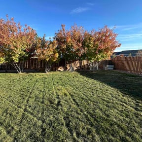 Leaf Removal by Diamonds Landscaping reviewed on June 23, 2022