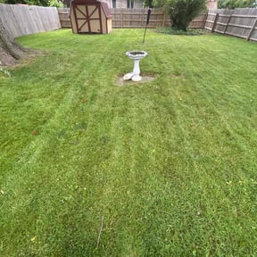 Cleanups by New leaf Landscaping reviewed on May 4, 2022