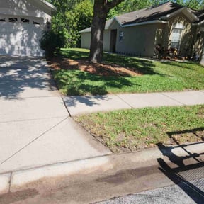 Leaf Removal by RD Lawn Services reviewed on July 12, 2022