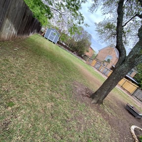 Leaf Removal by Legit Lawn Care reviewed on January 19, 2025