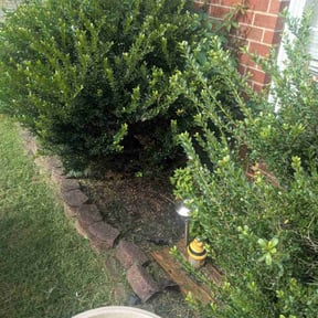 Flower Bed Weeding by Three brothers lawn care reviewed on August 8, 2024