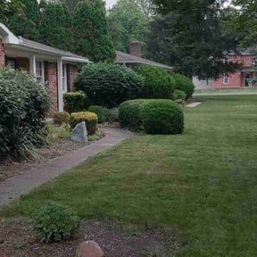 Bush Trimming by FRL Landscaping reviewed on May 4, 2022