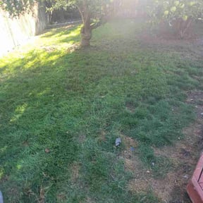 Cleanups by Eagle Electric Lawn Care reviewed on May 1, 2025