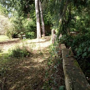 Bush Trimming by Pristine Properties LHS reviewed on November 23, 2024