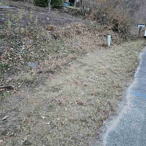 Leaf Removal by Quick Cutz Lawn Care. reviewed on March 12, 2025