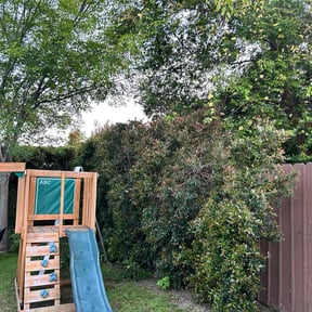 Bush Trimming by John&#039;sjohns garden service reviewed on March 19, 2022