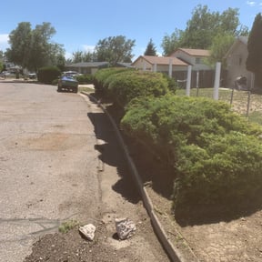 Bush Trimming by April Showers Landscape Maintenance reviewed on December 21, 2024