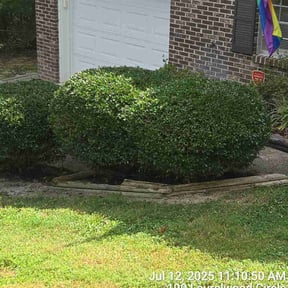 Bush Trimming by Cavender Landscaping reviewed on August 13, 2024