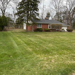 Leaf Removal by Top Notch Lawn Care And Snow removal/ Junk Removal reviewed on June 9, 2020