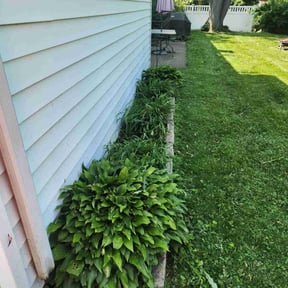 Cleanups by The Lawn Cypress reviewed on August 7, 2022