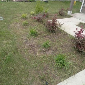 Flower Bed Weeding by Legit Lawn Care reviewed on February 7, 2025
