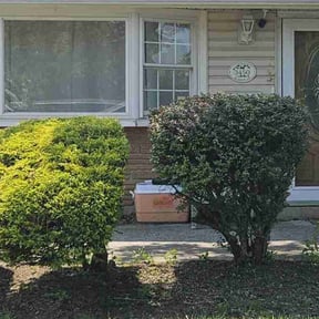 Bush Trimming by Livery Services LTD, llc reviewed on July 19, 2022