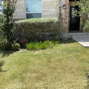 Flower Bed Weeding by Dawn Bourland reviewed on August 6, 2022