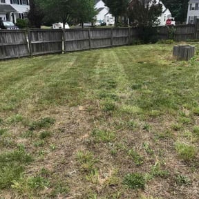 Cleanups by The Maintenance Dept reviewed on August 5, 2022