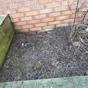Flower Bed Weeding by Torres Transformations reviewed on June 4, 2022