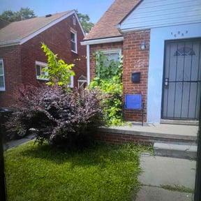 Bush Trimming by RakeEm'upCee reviewed on June 3, 2025