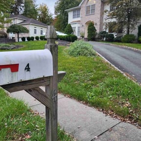 Leaf Removal by Michael Cherry reviewed on June 4, 2022