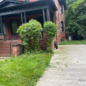 Bush Trimming by Dxd lawn care reviewed on August 9, 2022