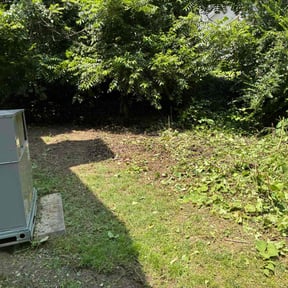 Cleanups by Tropicare Landscape and Maintenance reviewed on July 25, 2022