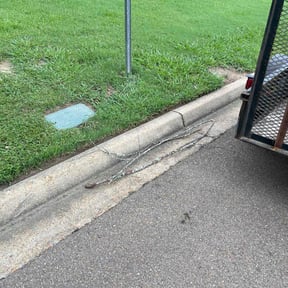 Cleanups by Ortega lawn services LL reviewed on June 29, 2022