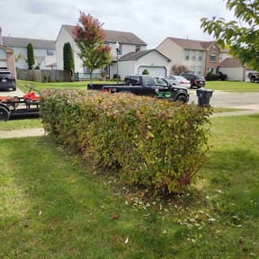 Bush Trimming by MJ'S Lawn service reviewed on September 15, 2024