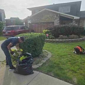 Bush Trimming by B.mendoza lanscaping reviewed on June 21, 2025
