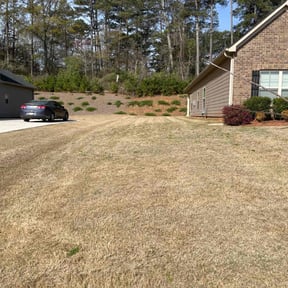 Weeding by Conner Meadows reviewed on November 25, 2024