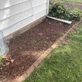 Cleanups by All Pro Landscaping Services reviewed on June 21, 2022