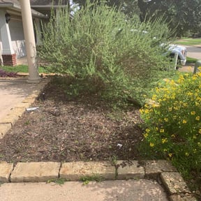 Flower Bed Weeding by CnA Lawn and landscape reviewed on August 2, 2022