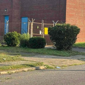 Bush Trimming by GoodFellas_Landscaping reviewed on July 7, 2025
