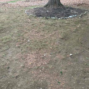 Leaf Removal by Mow-Hawk lawn service reviewed on November 18, 2021