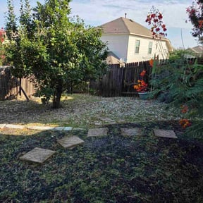 Weeding by Mighty Mavericks Yard and Landscaping Heroes reviewed on October 28, 2024