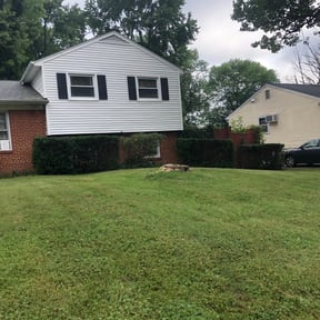Bush Trimming by NRB Landscape Services reviewed on May 19, 2022