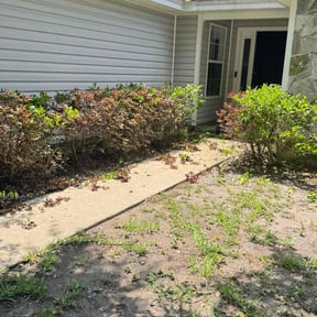 Bush Trimming by L&k southern home lawn care reviewed on October 16, 2022