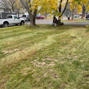 Leaf Removal by Johnson & Abney property management reviewed on May 3, 2022