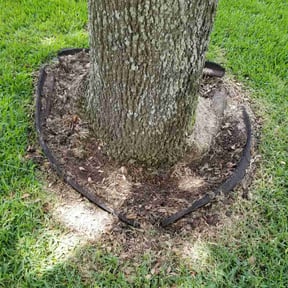 Flower Bed Weeding by Cruiser Lawn Care reviewed on November 9, 2024