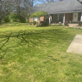 Bush Trimming by MVP Lawn & Landscaping reviewed on July 17, 2020