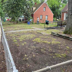 Leaf Removal by George of the jungle lawn care reviewed on June 29, 2025