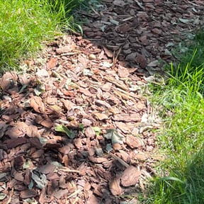 Flower Bed Weeding by D.P.S (Dave Property Services) reviewed on November 20, 2024