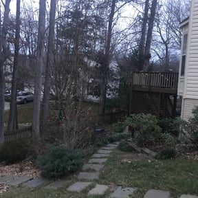 Leaf Removal by Prime1cuts reviewed on June 9, 2022