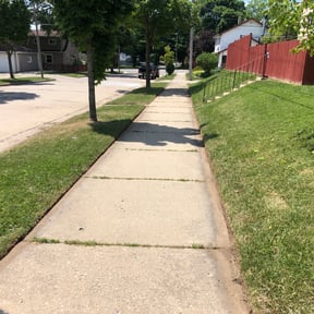 Landscaping by Finns landscaping reviewed on November 18, 2024